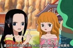 "海贼王女帝哈农无衣事件：海洋里的权力与魅力展现"