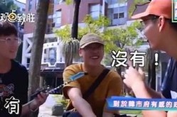 "台湾佬免费视频：探索台湾文化与社会风情"