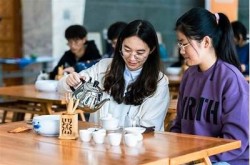 "wwwsss欧美: 探究欧美流行文化与生活方式的在线平台"