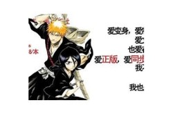 "《漂白剂》：深度解读流行日本漫画《Bleach》的魅力与影响力"