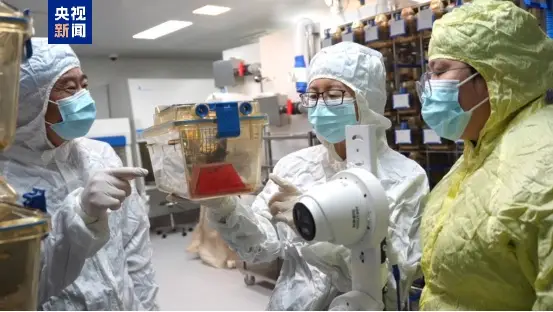 太空小老鼠_小鼠波波与小鼠提比_