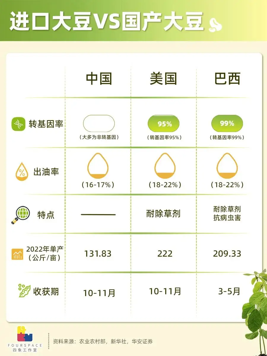 _负债破产后的人生_负债率达到多少破产