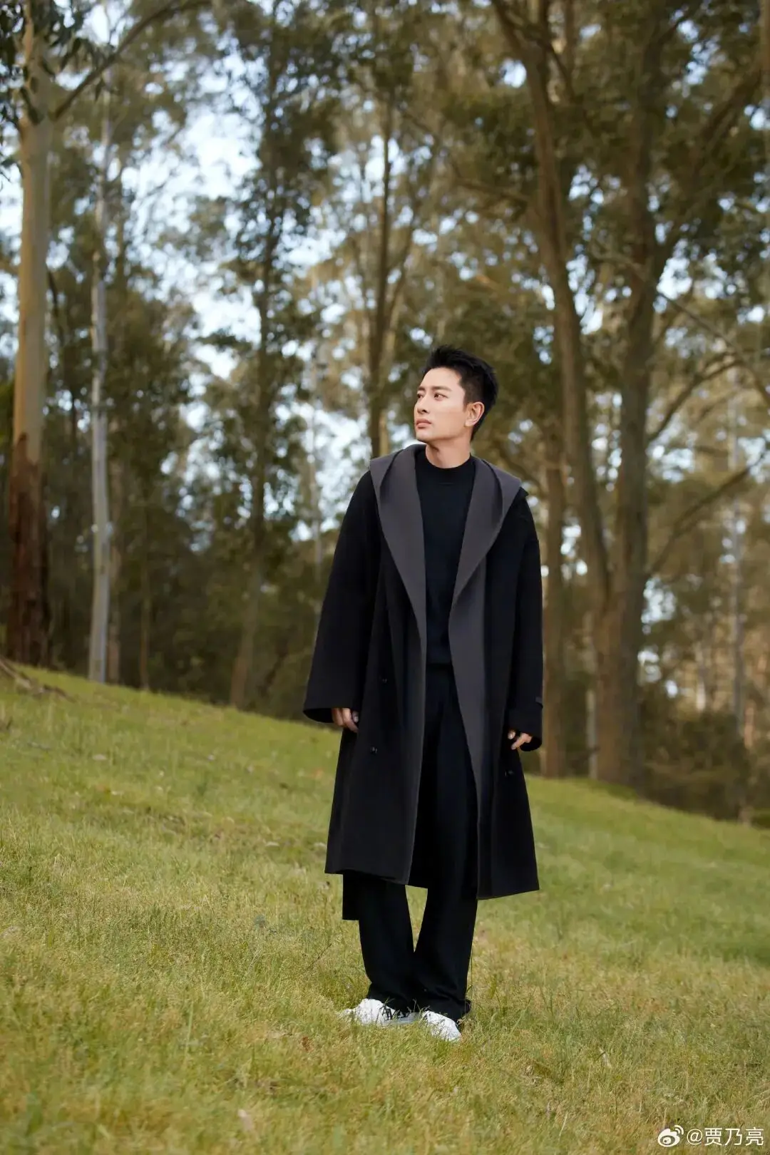 摔跤模特被仙姑针对了？贾乃亮卖假货被停播？纪凌尘嘲讽阚清子孩子夭折？孙丞潇金莎求婚？姨太问答__摔跤模特被仙姑针对了？贾乃亮卖假货被停播？纪凌尘嘲讽阚清子孩子夭折？孙丞潇金莎求婚？姨太问答