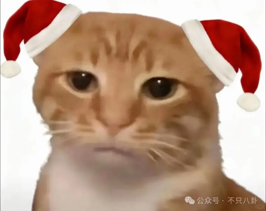 姐弟恋结婚文案__姐弟恋结婚的说说