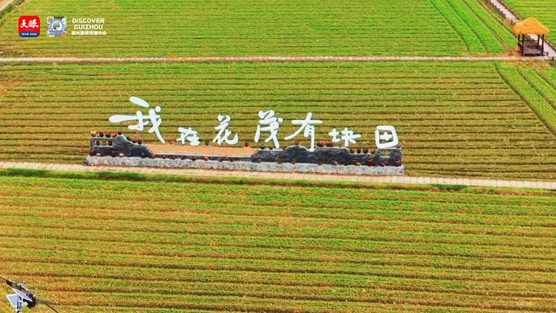 从贵州望向中国：让世界读懂中国之治__从贵州望向中国：让世界读懂中国之治